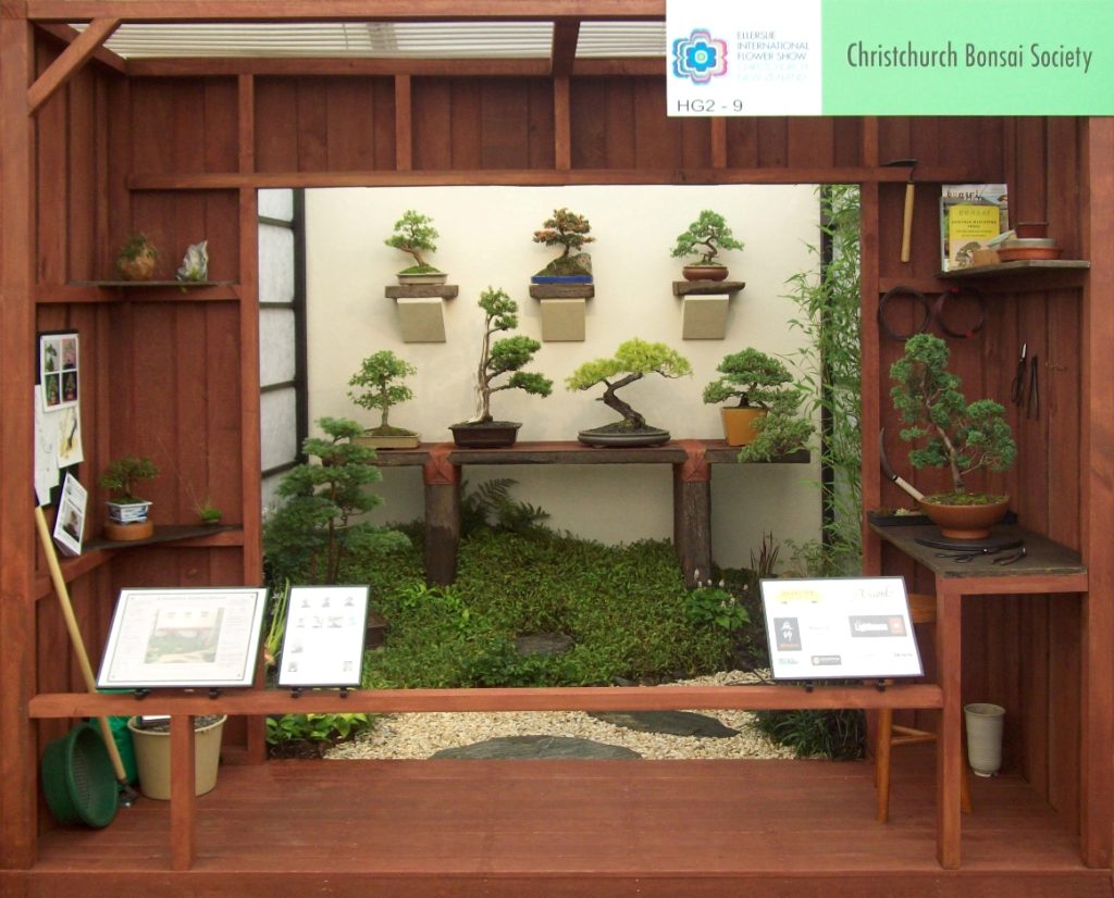 Image of EIFS 2009 Christchurch Bonsai Society Exhibit