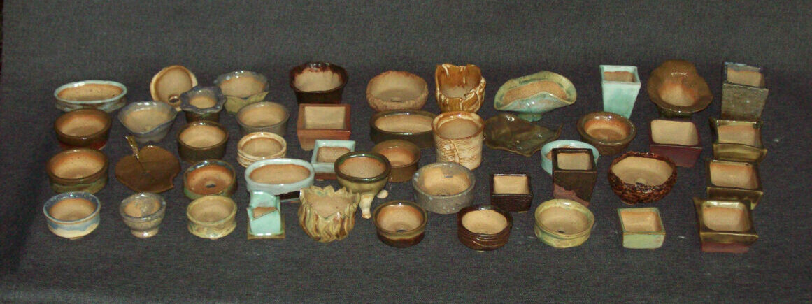 Accent Bonsai Pots